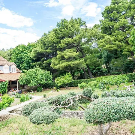 & Papa - Premium Double Or Twin With Balcony And Partial Sea View Soba 2 Apartament